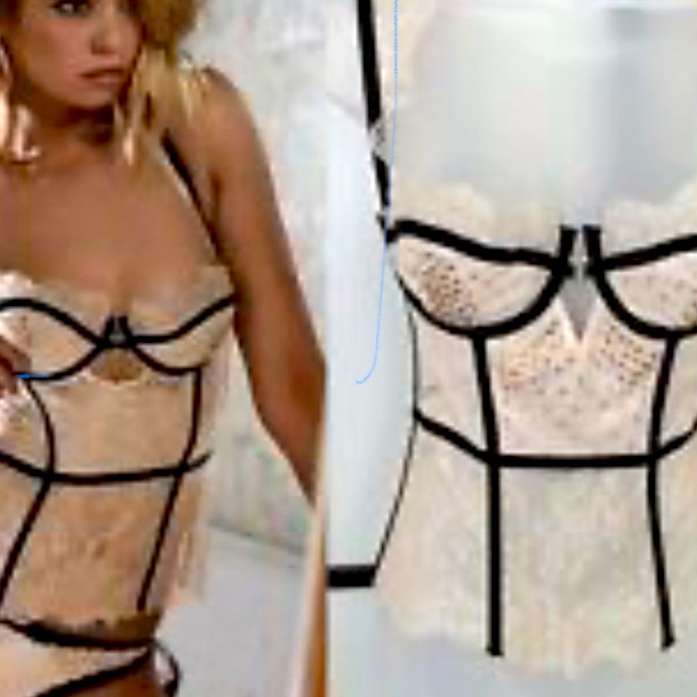 NWT! Victoria’s Secret Pink Sheer Floral Chantilly Lace Corset 36DD